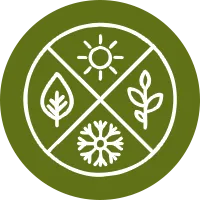 シーズンイベント