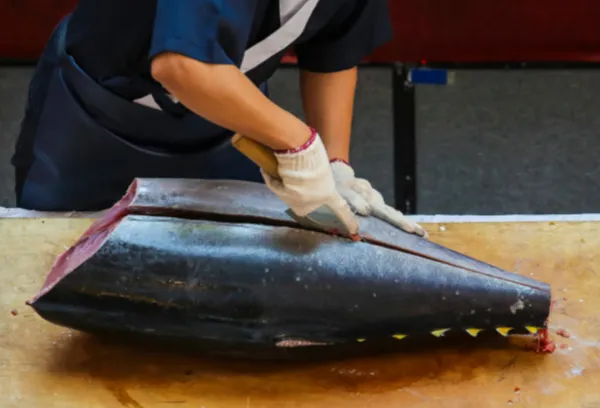 鮪の解体ショー