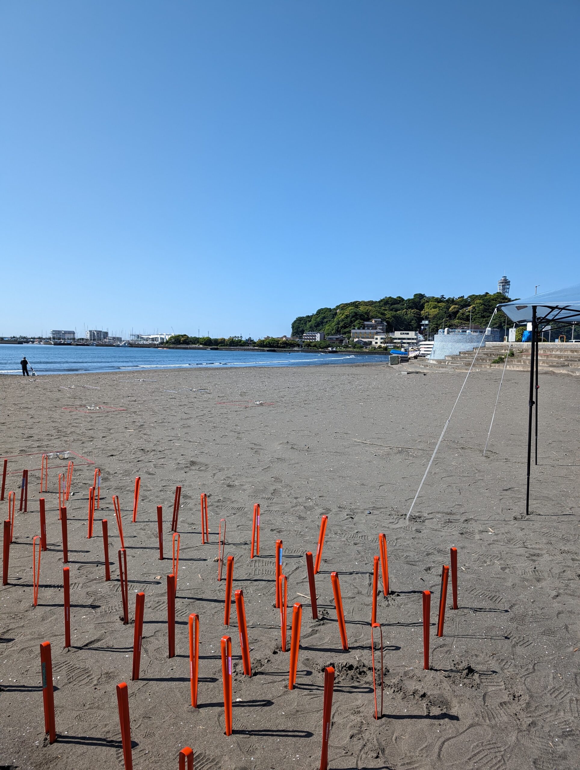 海の豊かさを守る。ネイチャーチームビルディング